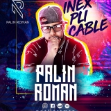 Palin Roman