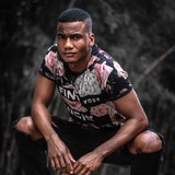 Wiston Torres