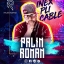 Palin Roman