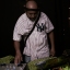 Legend Selektah 