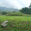 Alejodg