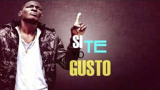 ME GUSTAS - Fénix La Melodía X Niche Flow Element (VIDEO LIRYC) Prod. Love Family Group Music